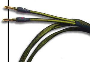 gauge.jpg (19972 bytes)