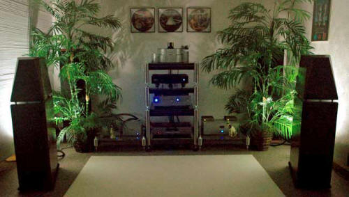 system