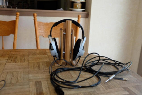 Moon Audio Black/Silver Dragon Cables