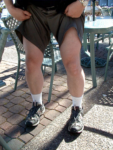 mr_legs.jpg (69119 bytes)