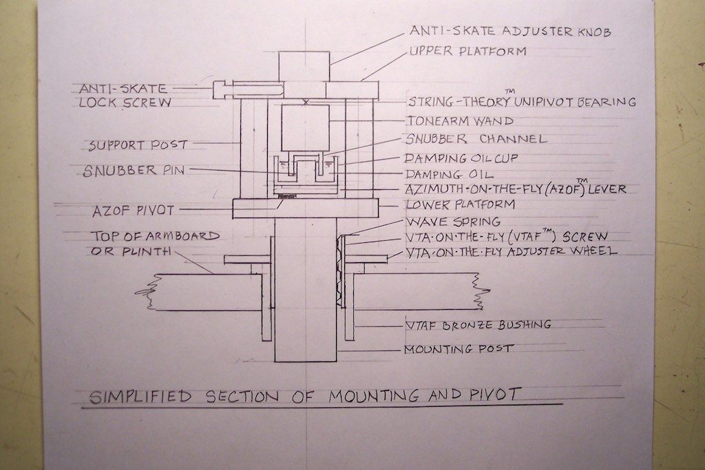 Woody cross-section diagram.