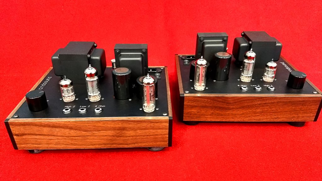 ampsandsound Leeloo Mono Tube Amplifiers